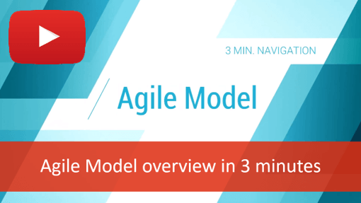 Big Picture Agile Model