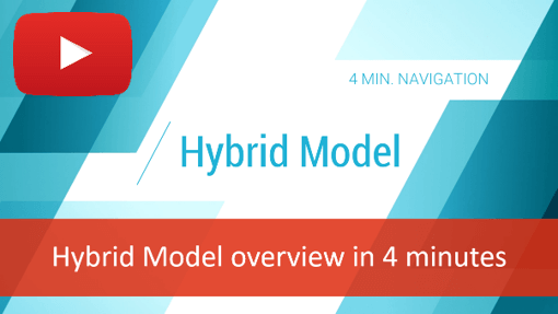 Big Picture Hybrid Model